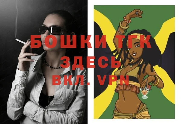 твердый Каменка