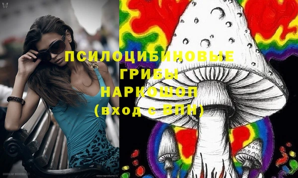 дурь Каменногорск