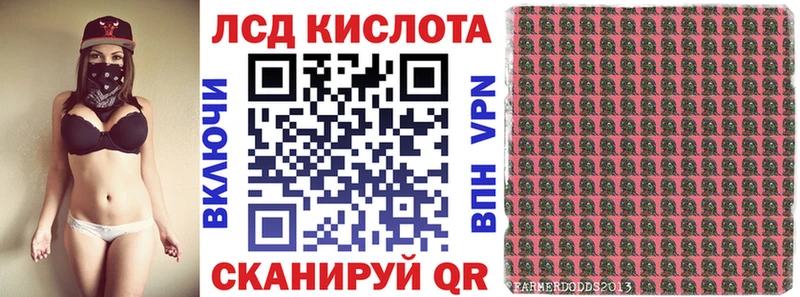 Купить закладки  Горно-Алтайск  Марки NBOMe 1,8мг 