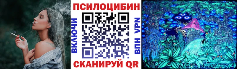 Псилоцибиновые грибы мицелий  Купить  Горно-Алтайск 